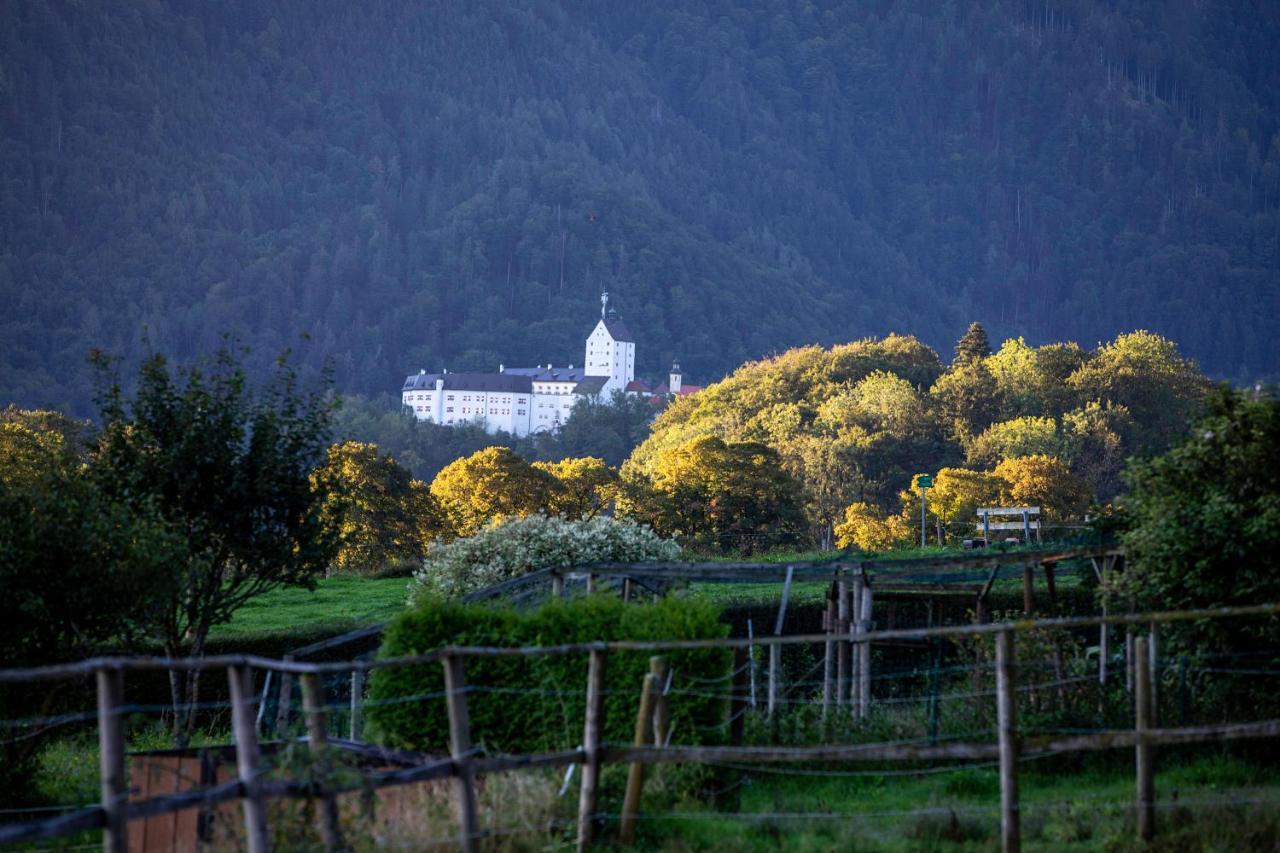 Ferienwohnungen Erlebnisnaturhof アシャウ・イム・キームガウ エクステリア 写真